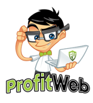 WordPress Website laten maken - ProfitWeb - Footer Webdesign bureau Website bouwer